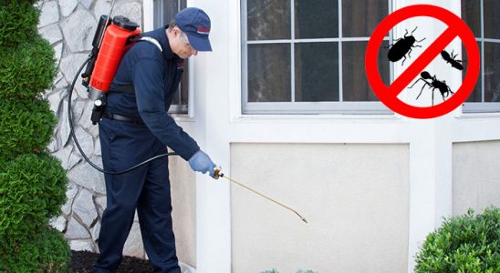 Germencik Hamam Böceği İlaçlama böcek ilaçlama ve haşere kontrolü — ilaclama-tr.com